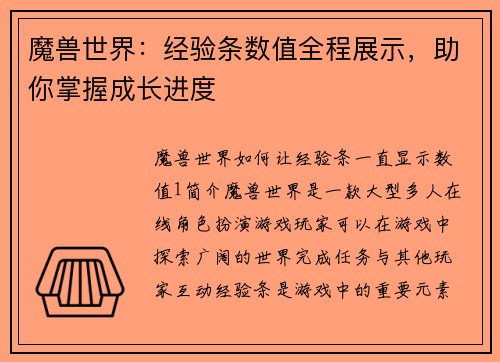 魔兽世界：经验条数值全程展示，助你掌握成长进度